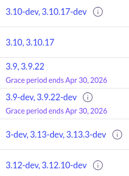 Screenshot of a portion of an image's 'Tags' tab, showing the Grace Period end dates for several versions of the image.